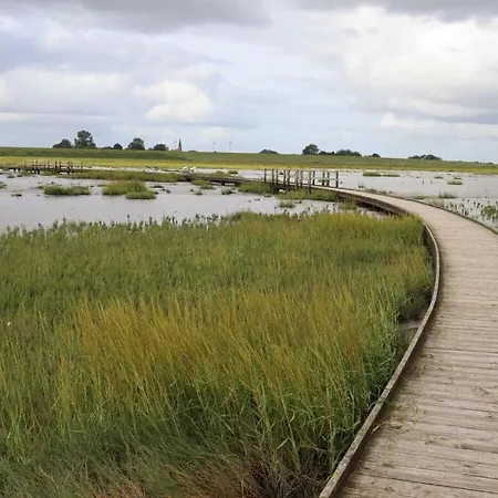 Anchorage Comfortable Dom wakacyjny